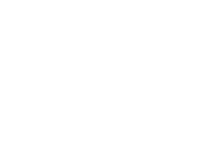 Evolution games at Dotty Bingo Casino